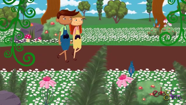 Haydi Ormana Gidelim - Eğitici Çocuk Şarkısı - Edis ile Feris Çizgi Film Çocuk Şar