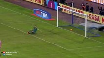 Gonzalo Higuain Goal Napoli vs Palermo 1-0 (Seria A) 2015