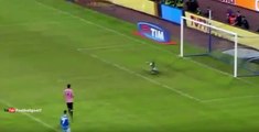 Gonzalo Higuain Goal - Napoli vs Palermo 1-0 Serie A 2015