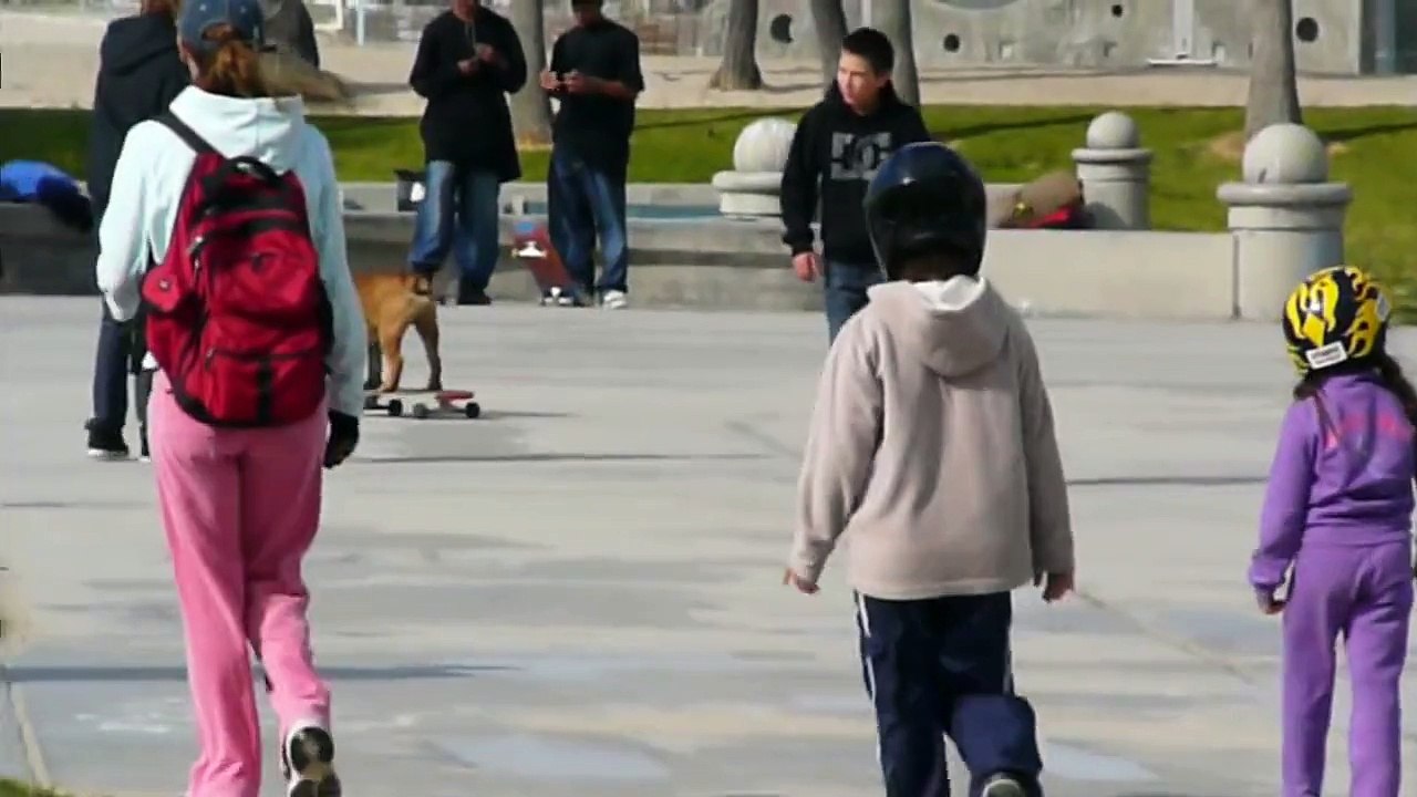 Dog skateboarding