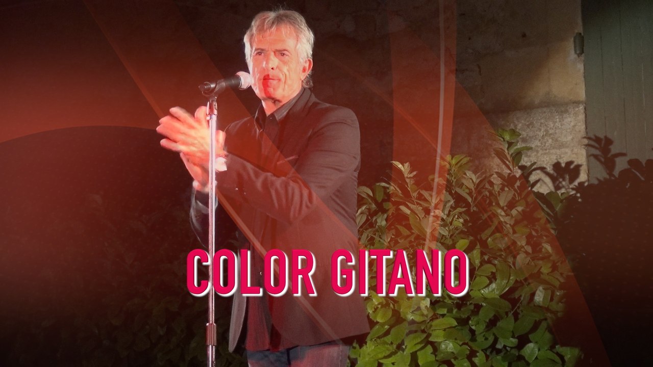 Jean Michel RINALDI - COLOR GITANO