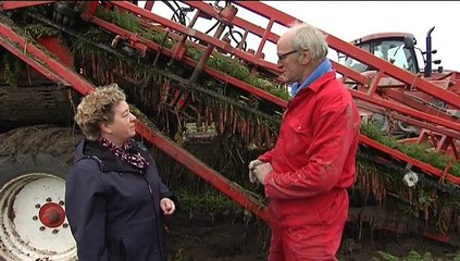 Het Weer: Harma bie de boer [28-10-2015] - RTV Noord