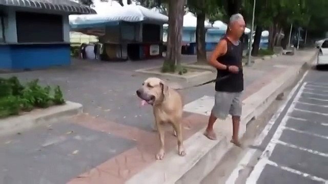 Шок ! Вот это материнский инстинкт!!