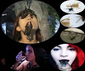 Debugging Food and Nourishment 🍎