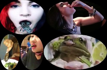 Debugging 6: Food & Nourishment 🍎