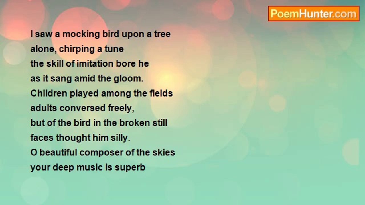 Mocking bird