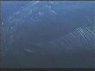 Final Fantasy FF X preview - :-)