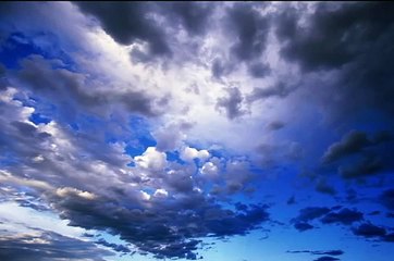 peer zulfiqar ahmad naqasbandi