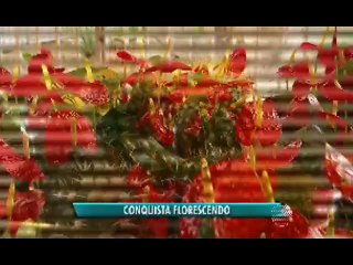 BLOGDOANDERSON.COM - BATV – Quarta-feira, 28 de Outubro de 2015