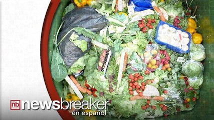 La Comida que Desperdiciamos Está Causando Daños Graves  al Planeta