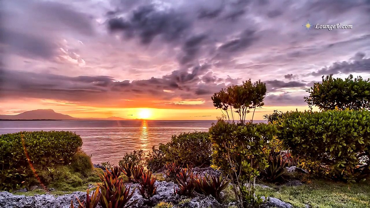 آية|الكرسي|مكررة|آخر|سورة|البقرة|بصوت|الشيخ|مشاري|بن|راشد|العفاسي|القرآن|الكريم ♛ The|Holy|Quran|Throne|Verse|Ayat|al-Ku