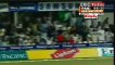 'Monster Sixes' Shahid Afridi 8 Sixes vs New Zealand  Sharjah 2002 - HQ