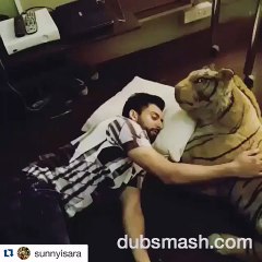 Prem Ratan Dhan Payo Funny Dubsmash 1