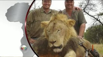 #MundoEnClaro cazador mata al león más famoso de Zimbabwe