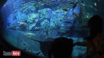 Kan & Aki 大分旅行 Part.2　うみたまご水族館編