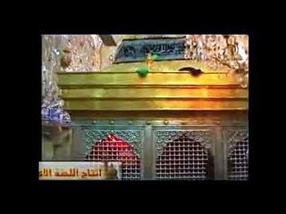 Professor Shaista Zaidi 10th Muharram 2015"Islaam Deen e Ma'ashrat"