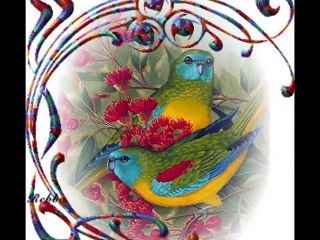 LES OISEAUX SE CACHENT POUR MOURIR