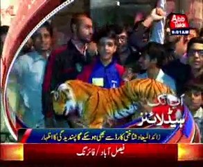 AbbTakk Headlines -08 AM - 29 October 2015