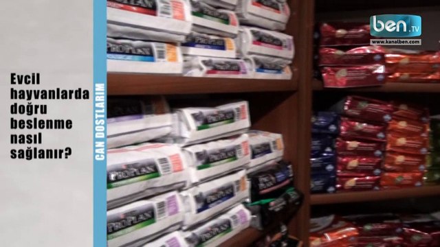 Evcil Hayvanlarda Doğru Beslenme