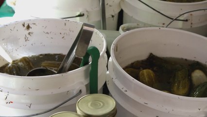 What does it take to be a pickle maker?