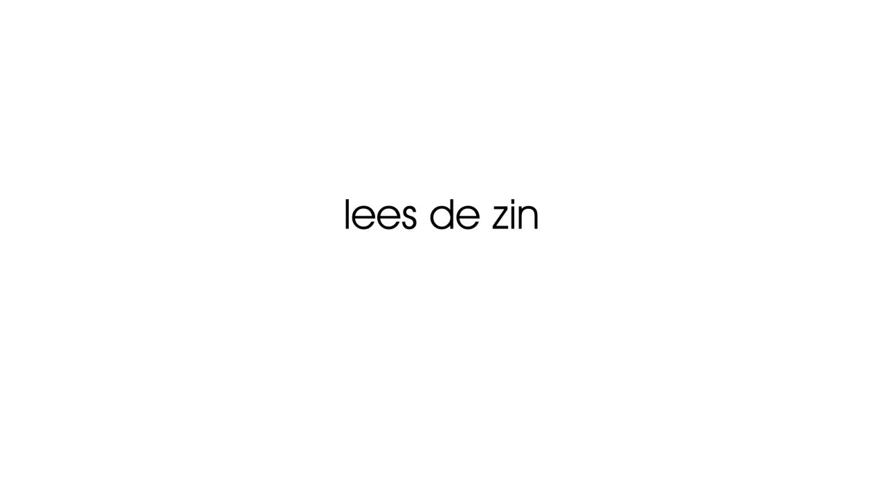 10. lees de zin