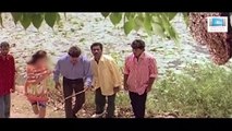 Chandira Mandalathai...¦ Tamil Movie ¦ Nilave Vaa ¦ Movie Song