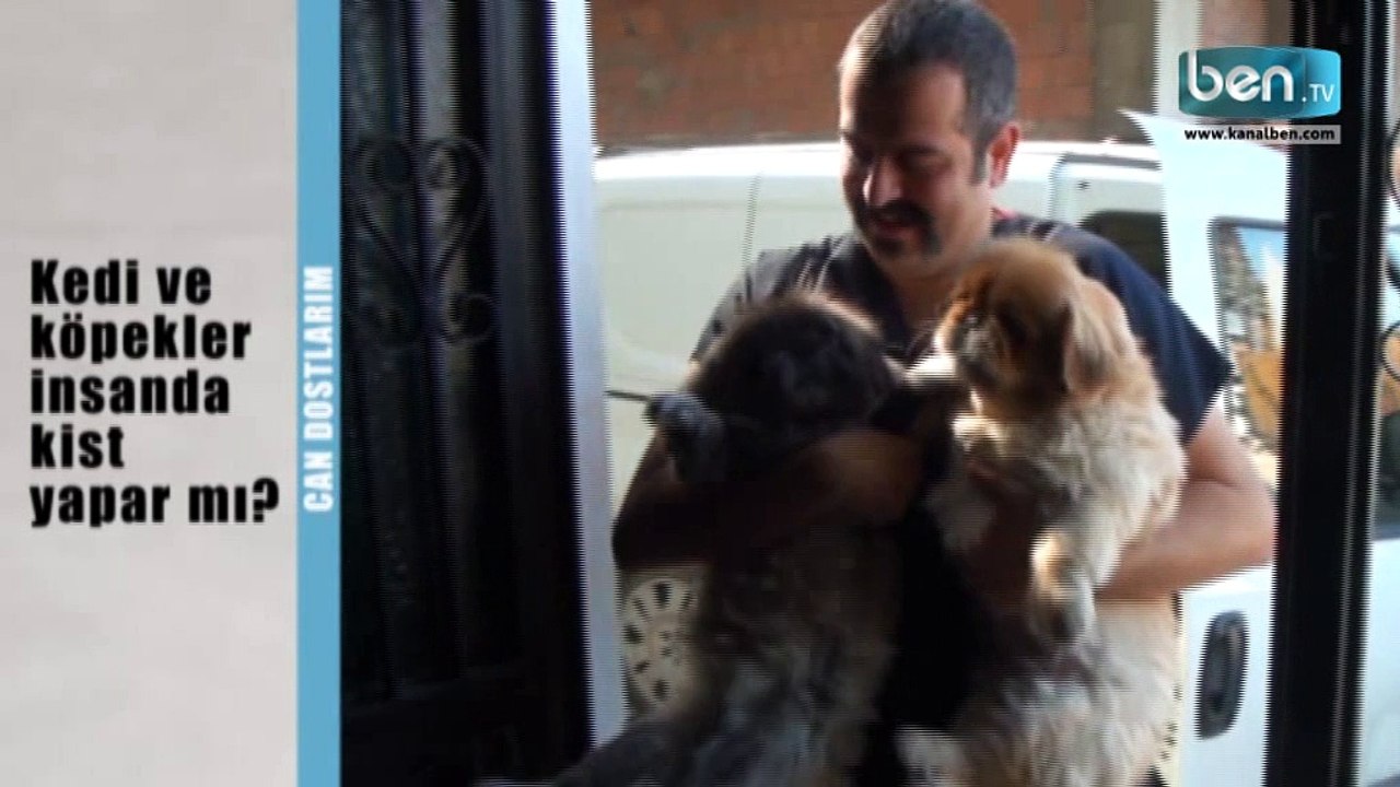 Kedi ve Köpekler İnsanda Kist Yapar mı?
