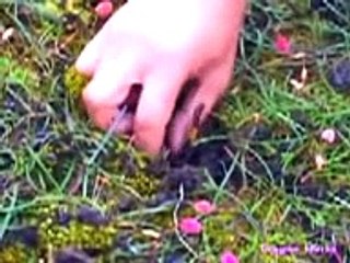 Unique Leading Facts about Tiens VS Roze tv banaqab Part 7