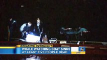 At Least 5 Dead After Whale Watching Tour Boat Sinks
