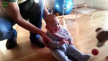 Babies Laughing Hysterically at Dogs Compilation - Funny Videos Hahaha