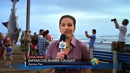 Shark Caught and Tried to escape