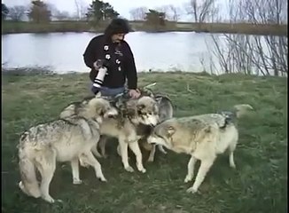 Danger floofs all want to boop snoots...