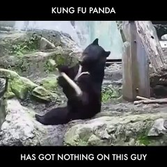 Action - Kung fu panda