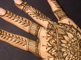 Mehandi @Designs ♥ Beautiful Unique Indian Pakistani #Pattern Henna Mehendi