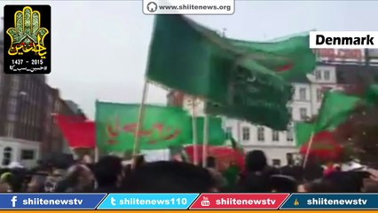 Ashura Procession 1437 / 2015 - Denmark