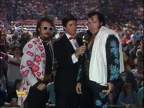 WWF Survivor Series 1987 - The Honky Tonk Man Post-Match Interview