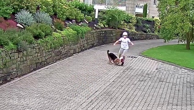 funny clips of the Week October 2015 amazing videos