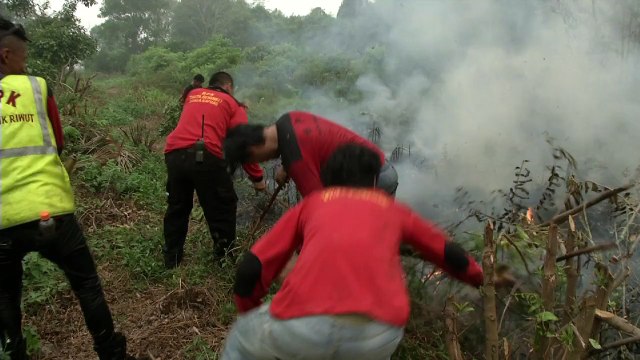 Les Indonésiens luttent contre les incendies qui asphyxient leur pays