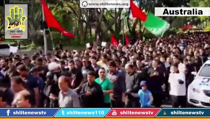 Ashura Procession 1437 / 2015 - Australia