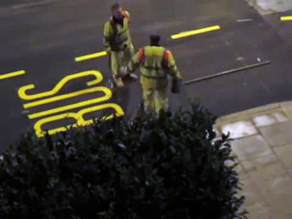 Çekirge Sürüsü ve İnsanların Tepkisizliği! - Komik videolar - Funny videos