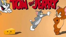 The Tom And Jerry Finger Family Song | Finger Family Song For Children & English Children
