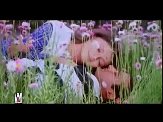 Aa-Ab-Lot-Chalein---AA-AB-LOT-CHALEIN