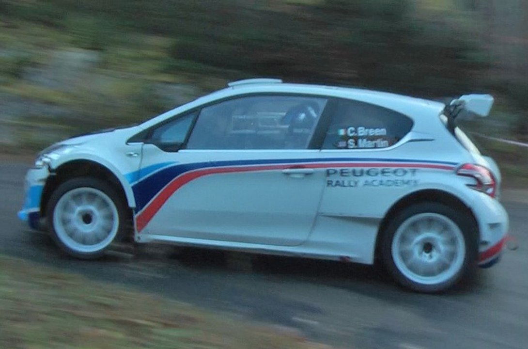 Rallye du Valais 2015 Test 208 T16