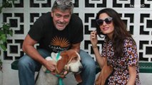 George and Amal Clooney adopt an adorable shelter dog