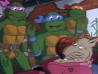 Tortues Ninja Les Chevaliers décaille S03E28 - Plongeon dans le Passé