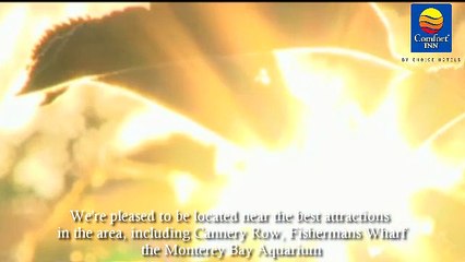 Comfort Inn Watsonville CA Hotel