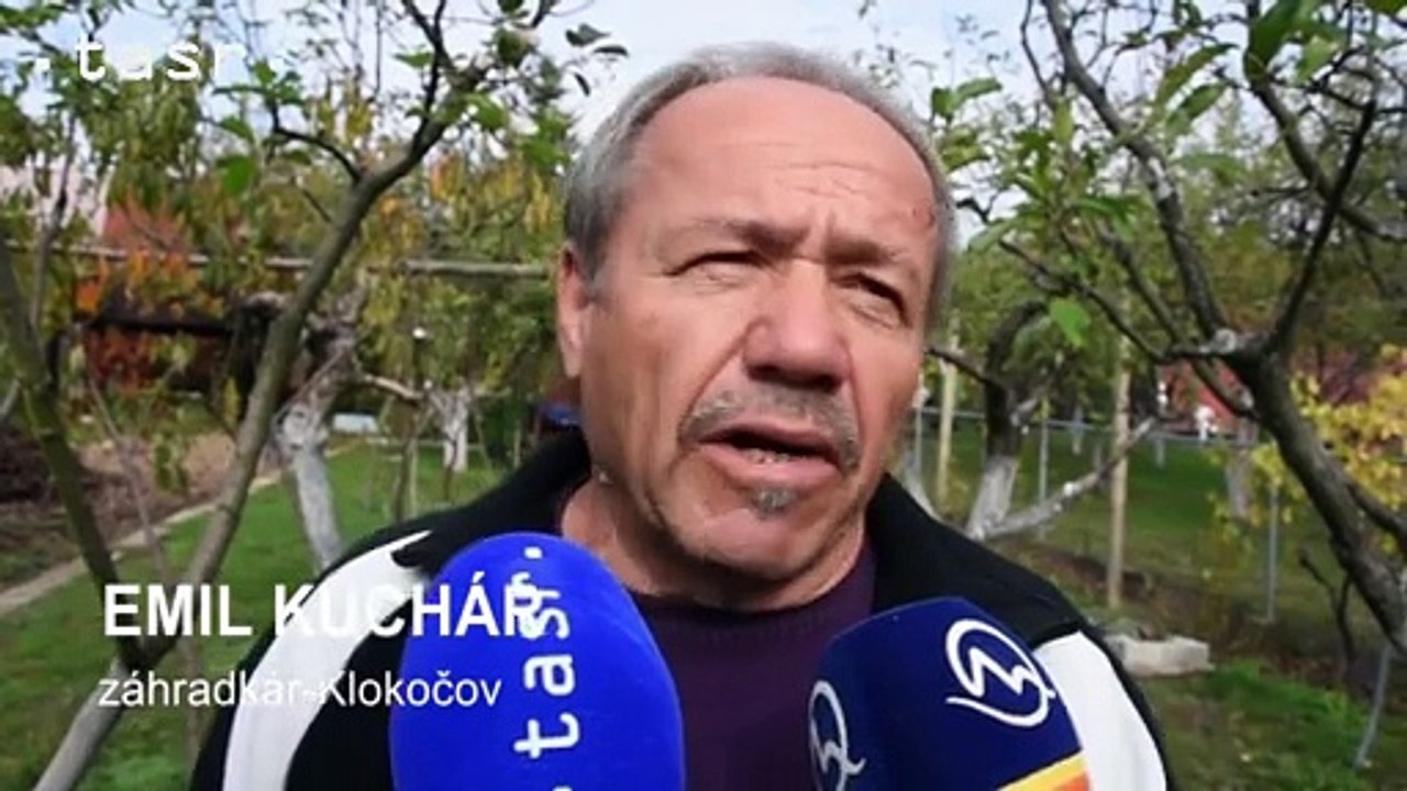 Pozrite si rozkvitnuté jablone v októbri