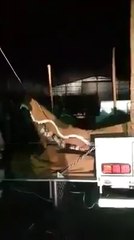 Arab sheikh tent in a car !! SuperDuper Videos