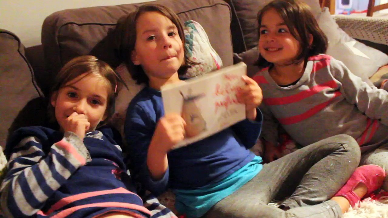 Le livre des bêtises :)