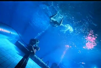 Одиночество глубины / Dypets ensomhet (1995)